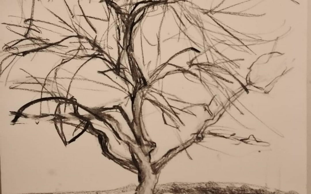 Arbre en hiver